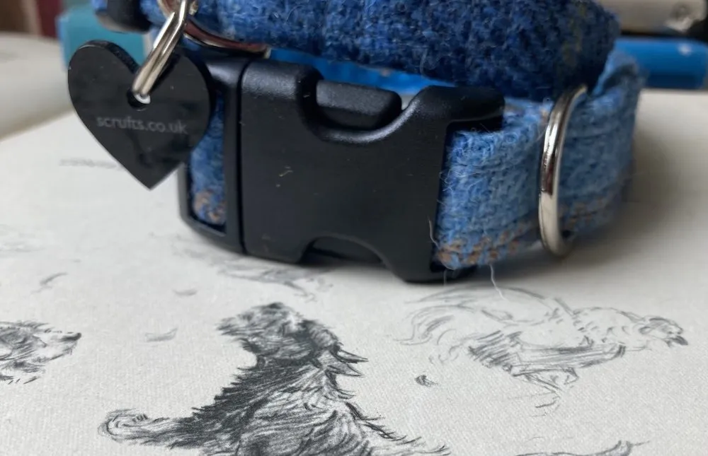 Denim Blue Harris Tweed Dog Collar